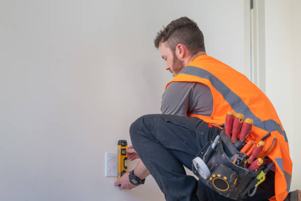 Best Electric Panel Repair  in Palmview South, TX